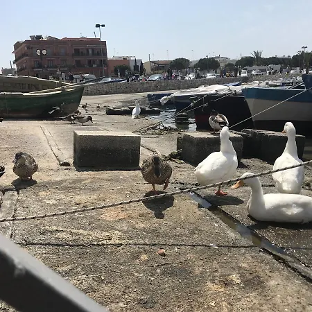 Prima Lux * Leverano