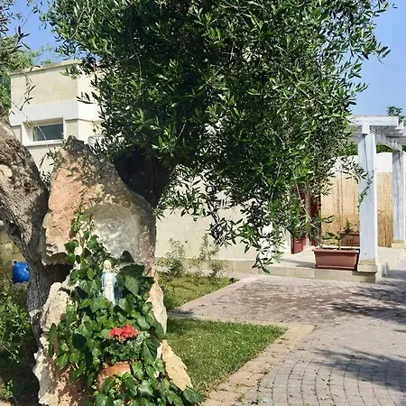 Prima Lux * Leverano